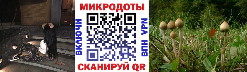 Псилоцибиновые грибы Magic Shrooms Красногорск